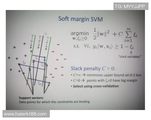 武汉网球队技术解析：从基础训练到比赛策略的全面探讨
